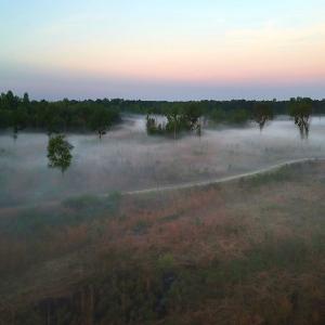 Photo #24 of Off of Durwood Evans Rd. , Beulaville, NC 174.7 acres