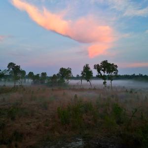 Photo #25 of Off of Durwood Evans Rd. , Beulaville, NC 174.7 acres