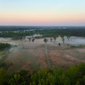 Photo #27 of Off of Durwood Evans Rd. , Beulaville, NC 174.7 acres