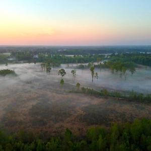 Photo #28 of Off of Durwood Evans Rd. , Beulaville, NC 174.7 acres