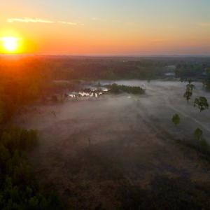 Photo #29 of Off of Durwood Evans Rd. , Beulaville, NC 174.7 acres