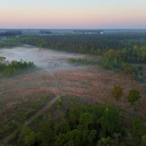 Photo #30 of Off of Durwood Evans Rd. , Beulaville, NC 174.7 acres