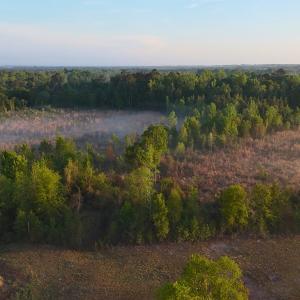 Photo #32 of Off of Durwood Evans Rd. , Beulaville, NC 174.7 acres