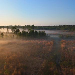 Photo #35 of Off of Durwood Evans Rd. , Beulaville, NC 174.7 acres