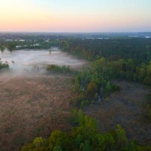 Photo #39 of Off of Durwood Evans Rd. , Beulaville, NC 174.7 acres