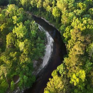 Photo #4 of Off of Durwood Evans Rd. , Beulaville, NC 174.7 acres