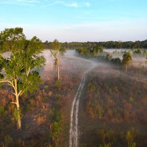 Photo #5 of Off of Durwood Evans Rd. , Beulaville, NC 174.7 acres