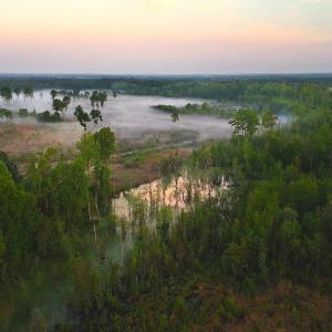 Photo #7 of Off of Durwood Evans Rd. , Beulaville, NC 174.7 acres