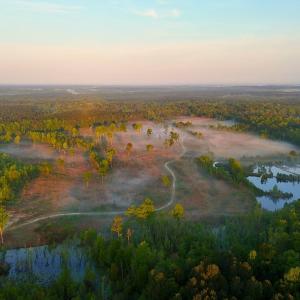 Photo #9 of Off of Durwood Evans Rd. , Beulaville, NC 174.7 acres