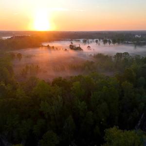 Photo #41 of Off of Durwood Evans Rd. , Beulaville, NC 174.7 acres