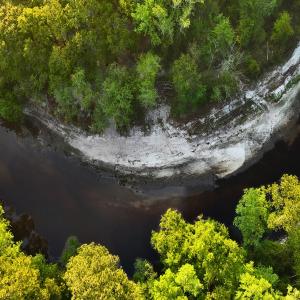 Photo #42 of Off of Durwood Evans Rd. , Beulaville, NC 174.7 acres