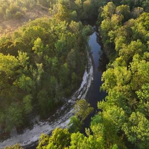 Photo #43 of Off of Durwood Evans Rd. , Beulaville, NC 174.7 acres