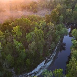 Photo #44 of Off of Durwood Evans Rd. , Beulaville, NC 174.7 acres