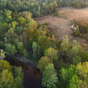 Photo #45 of Off of Durwood Evans Rd. , Beulaville, NC 174.7 acres