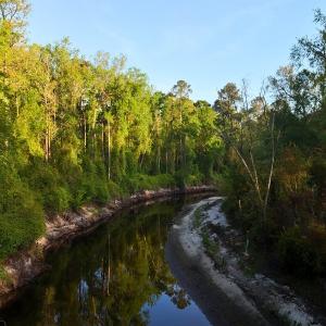 Photo #46 of Off of Durwood Evans Rd. , Beulaville, NC 174.7 acres