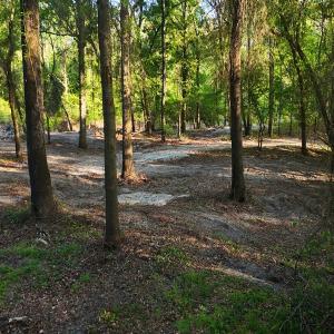 Photo #51 of Off of Durwood Evans Rd. , Beulaville, NC 174.7 acres