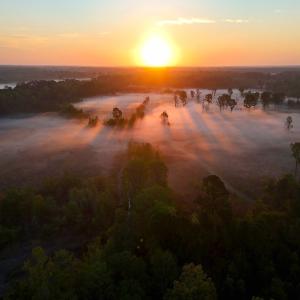 Photo #55 of Off of Durwood Evans Rd. , Beulaville, NC 174.7 acres