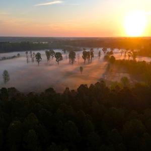 Photo #56 of Off of Durwood Evans Rd. , Beulaville, NC 174.7 acres