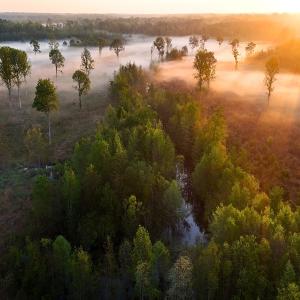 Photo #58 of Off of Durwood Evans Rd. , Beulaville, NC 174.7 acres