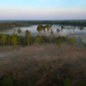 Photo #59 of Off of Durwood Evans Rd. , Beulaville, NC 174.7 acres