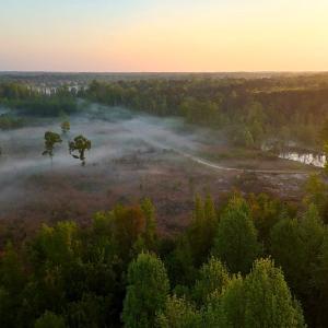 Photo #63 of Off of Durwood Evans Rd. , Beulaville, NC 174.7 acres