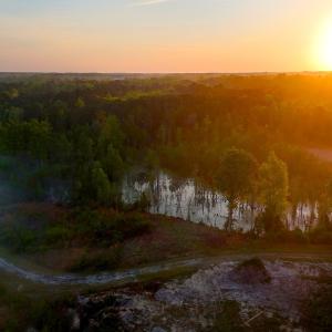 Photo #64 of Off of Durwood Evans Rd. , Beulaville, NC 174.7 acres