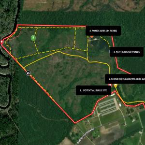 Photo #65 of Off of Durwood Evans Rd. , Beulaville, NC 174.7 acres