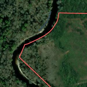 Photo #66 of Off of Durwood Evans Rd. , Beulaville, NC 174.7 acres