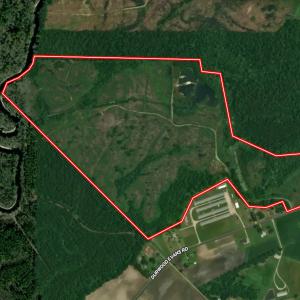 Photo #68 of Off of Durwood Evans Rd. , Beulaville, NC 174.7 acres