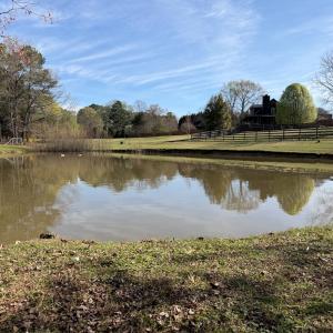 Photo #2 of 271 Palomino Trl, Lexington, NC 9.9 acres