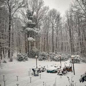 Photo #15 of 311 Dan River Rd, Meadows of Dan, VA 39.2 acres