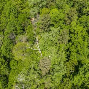 Photo #15 of Off Sunset Dr., Asheboro, NC 29.9 acres