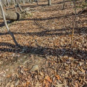 Photo #19 of Off Sunset Dr., Asheboro, NC 29.9 acres