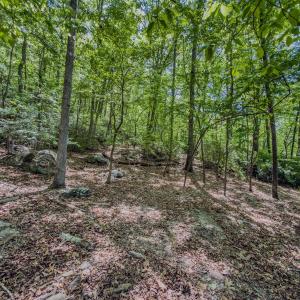 Photo #1 of Off Sunset Dr., Asheboro, NC 29.9 acres