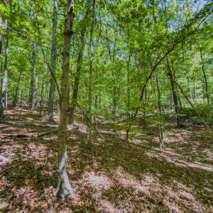 Photo #6 of Off Sunset Dr., Asheboro, NC 29.9 acres