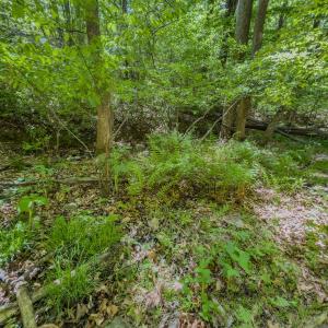 Photo #7 of Off Sunset Dr., Asheboro, NC 29.9 acres