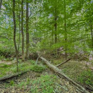 Photo #9 of Off Sunset Dr., Asheboro, NC 29.9 acres