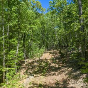 Photo #25 of Off Sunset Dr., Asheboro, NC 29.9 acres