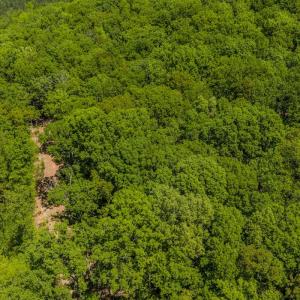 Photo #26 of Off Sunset Dr., Asheboro, NC 29.9 acres