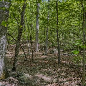 Photo #27 of Off Sunset Dr., Asheboro, NC 29.9 acres