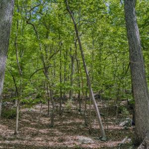 Photo #29 of Off Sunset Dr., Asheboro, NC 29.9 acres