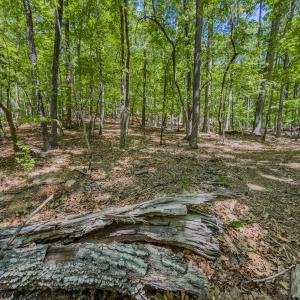 Photo #30 of Off Sunset Dr., Asheboro, NC 29.9 acres