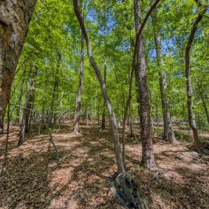 Photo #31 of Off Sunset Dr., Asheboro, NC 29.9 acres