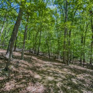 Photo #32 of Off Sunset Dr., Asheboro, NC 29.9 acres