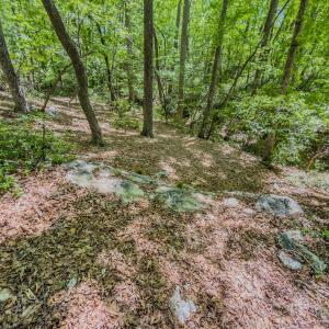 Photo #34 of Off Sunset Dr., Asheboro, NC 29.9 acres