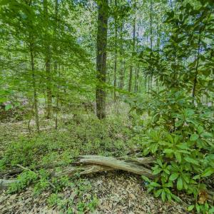 Photo #36 of Off Sunset Dr., Asheboro, NC 29.9 acres