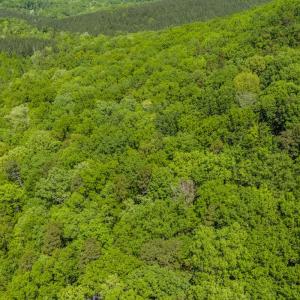 Photo #37 of Off Sunset Dr., Asheboro, NC 29.9 acres