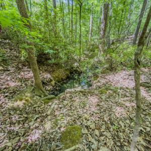 Photo #41 of Off Sunset Dr., Asheboro, NC 29.9 acres