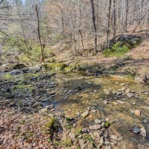 Photo #44 of Off Sunset Dr., Asheboro, NC 29.9 acres