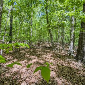 Photo #48 of Off Sunset Dr., Asheboro, NC 29.9 acres